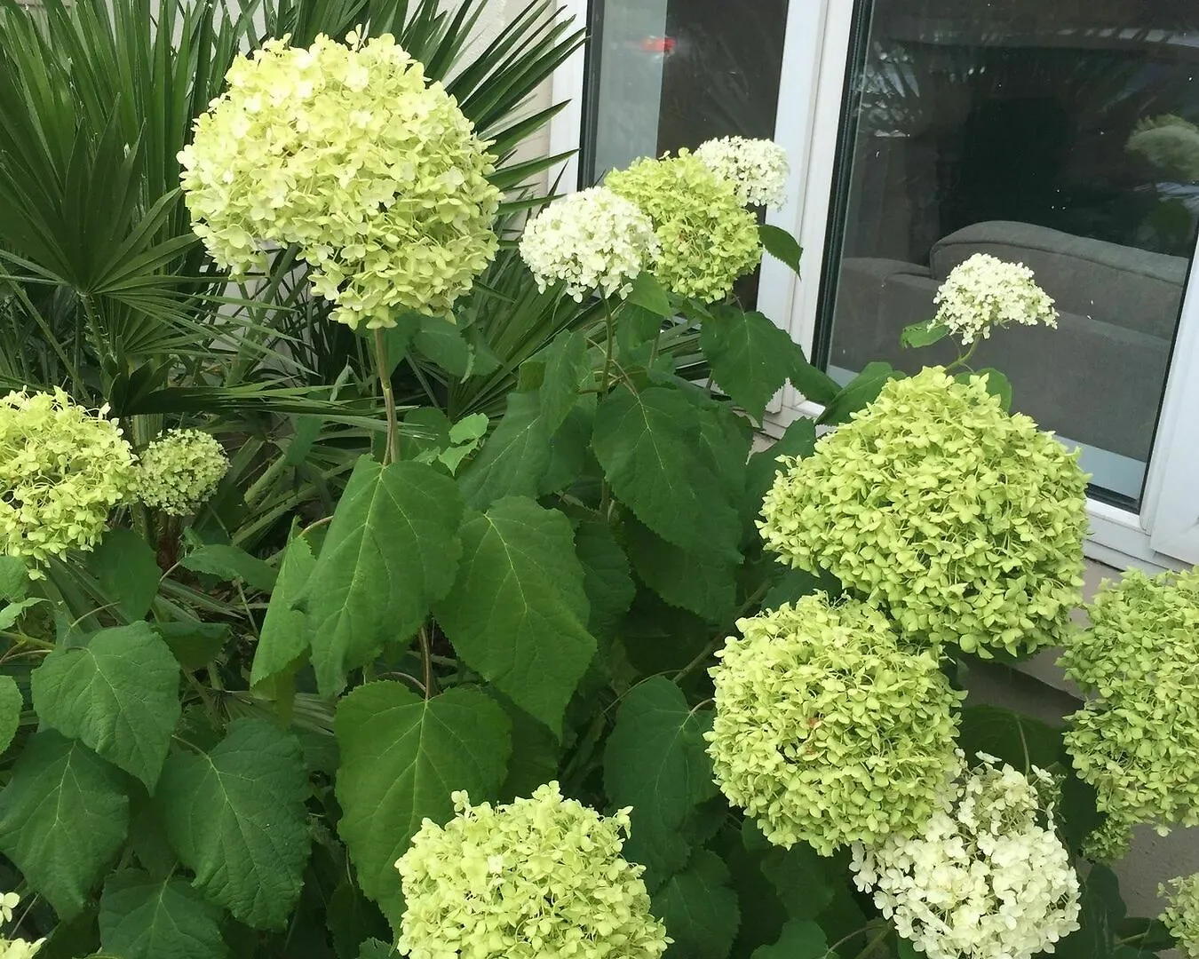 Docklands Self Catering Apartment Dublin